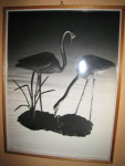 Stel steltvogels